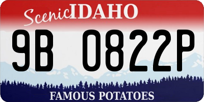 ID license plate 9B0822P