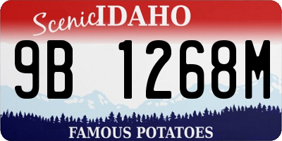 ID license plate 9B1268M