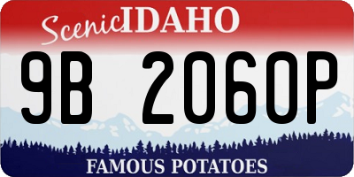 ID license plate 9B2060P