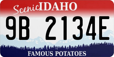 ID license plate 9B2134E
