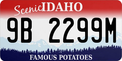 ID license plate 9B2299M