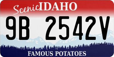 ID license plate 9B2542V