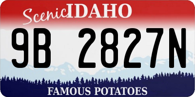 ID license plate 9B2827N