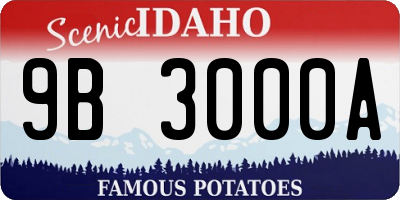 ID license plate 9B3000A