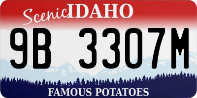 ID license plate 9B3307M