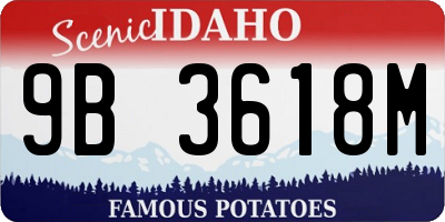 ID license plate 9B3618M