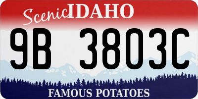 ID license plate 9B3803C