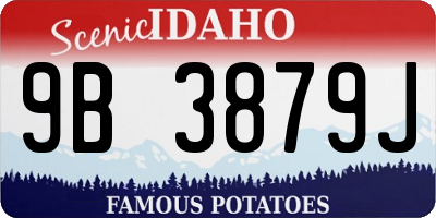 ID license plate 9B3879J