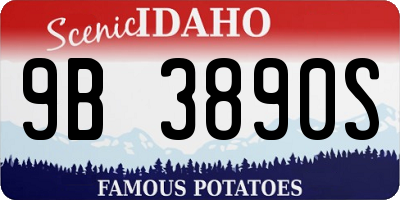 ID license plate 9B3890S