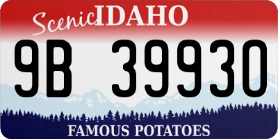 ID license plate 9B3993O