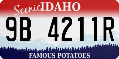 ID license plate 9B4211R