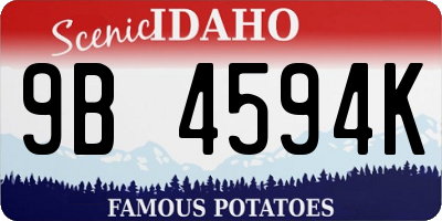 ID license plate 9B4594K
