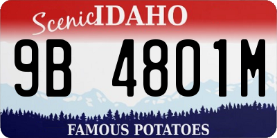 ID license plate 9B4801M