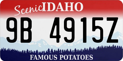 ID license plate 9B4915Z