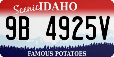 ID license plate 9B4925V