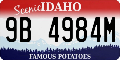 ID license plate 9B4984M