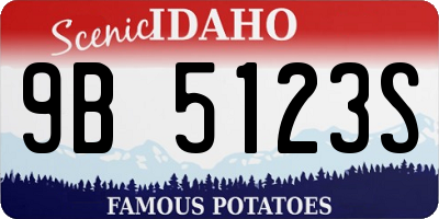 ID license plate 9B5123S