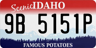 ID license plate 9B5151P