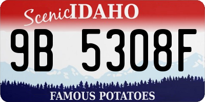 ID license plate 9B5308F