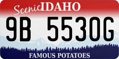 ID license plate 9B5530G