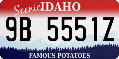 ID license plate 9B5551Z