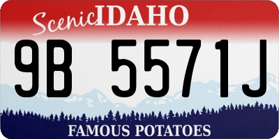 ID license plate 9B5571J