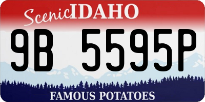 ID license plate 9B5595P