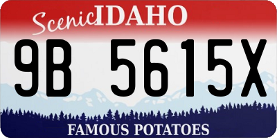 ID license plate 9B5615X