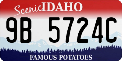ID license plate 9B5724C