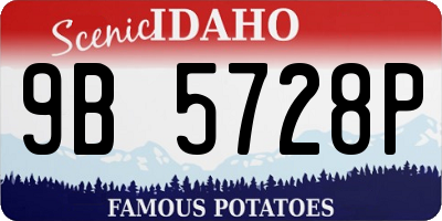 ID license plate 9B5728P
