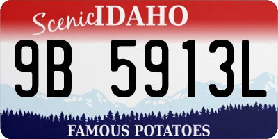 ID license plate 9B5913L