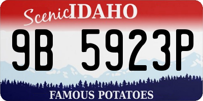 ID license plate 9B5923P