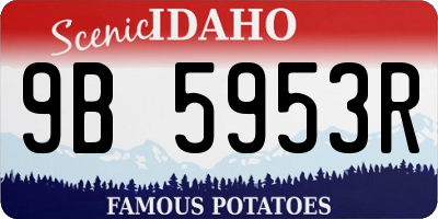 ID license plate 9B5953R
