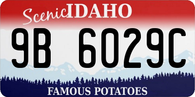 ID license plate 9B6029C