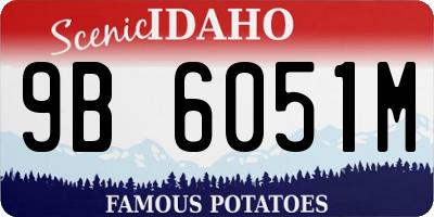 ID license plate 9B6051M