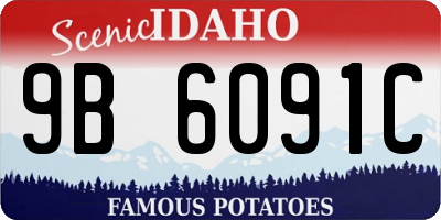 ID license plate 9B6091C