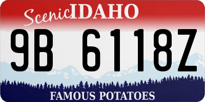 ID license plate 9B6118Z