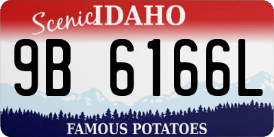 ID license plate 9B6166L