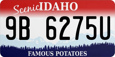 ID license plate 9B6275U
