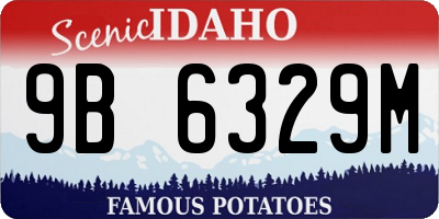 ID license plate 9B6329M
