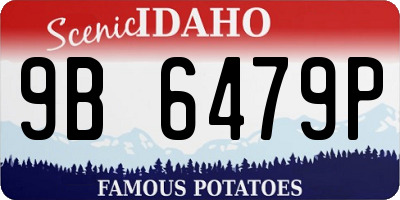ID license plate 9B6479P