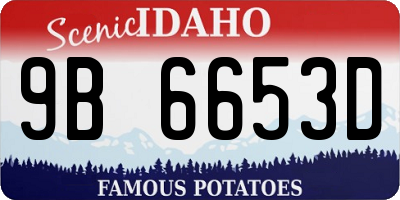 ID license plate 9B6653D