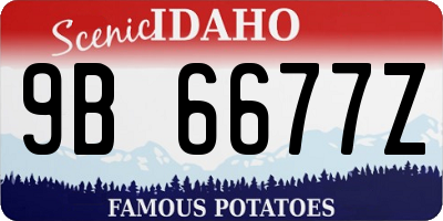 ID license plate 9B6677Z