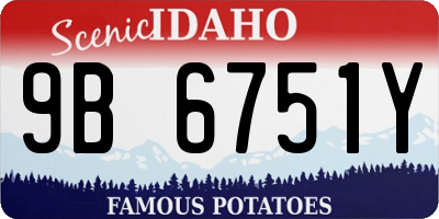 ID license plate 9B6751Y