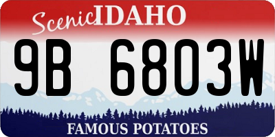 ID license plate 9B6803W