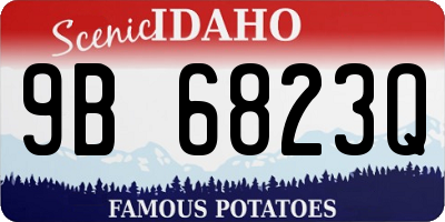 ID license plate 9B6823Q