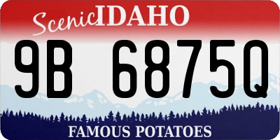 ID license plate 9B6875Q