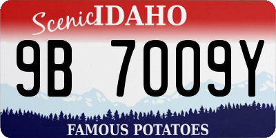 ID license plate 9B7009Y