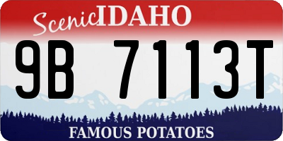 ID license plate 9B7113T