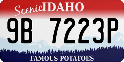 ID license plate 9B7223P